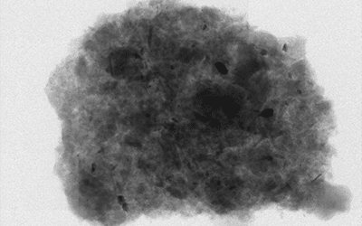 Floriane JAMOTEAU, 2023. Stocker du C dans les sols : dynamique des matières organiques en interaction avec les nanophases minérales du sol.
