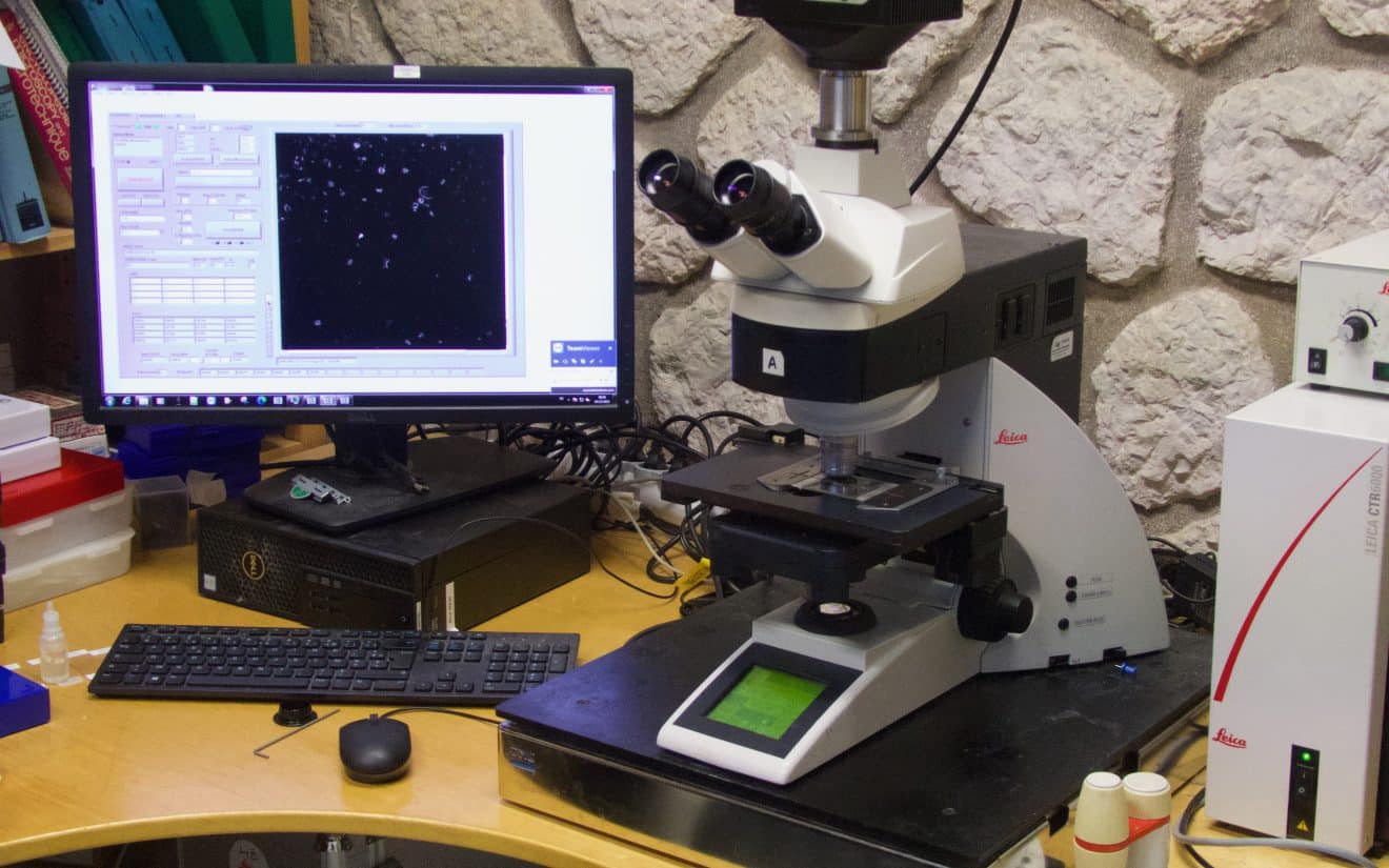Automated Micropaleontology Tools - CEREGE