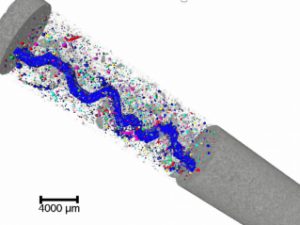 Alexis BOCCHECIAMPE, 2022. Study of the transport of particles through controlled cracks synthesized in a confining mortar: contribution of X-ray micro-tomography.