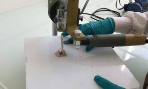 Découpe longitudinale d'une dent de renne préhistorique en collaboration avec le LAMPEA